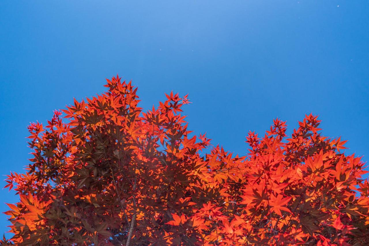 清境英格曼花園民宿 Renai Exteriör bild